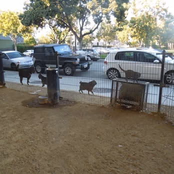 Ryland Dog Park photo 2